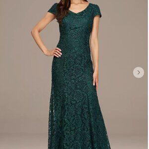 NWT - ALEX EVENINGS : SIZE 10 : Long Corded Lace V-Neck Fit & Flare Dress